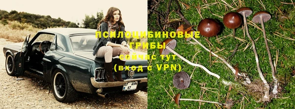 кокаин перу Дмитриев