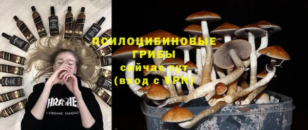 гидропоника Дмитровск
