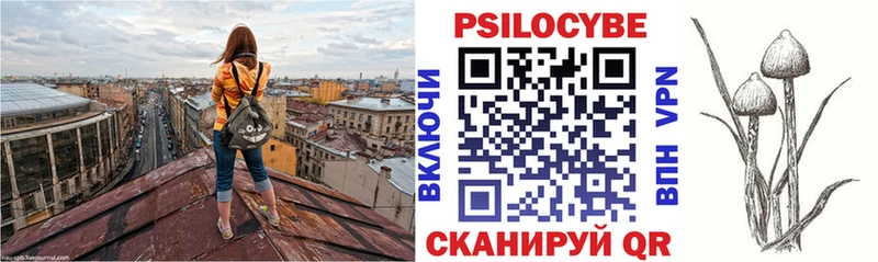 Псилоцибиновые грибы прущие грибы  Купить где  Казань 